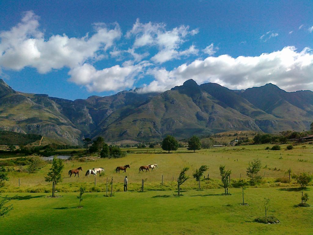 Wildebraam Berry Estate Villa Swellendam Exterior photo